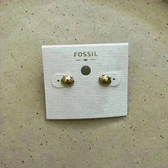 Fossil Jewelry - Shell fossil earrings